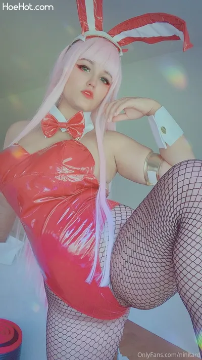 Ninitard - Bunny Zero Two's profile image