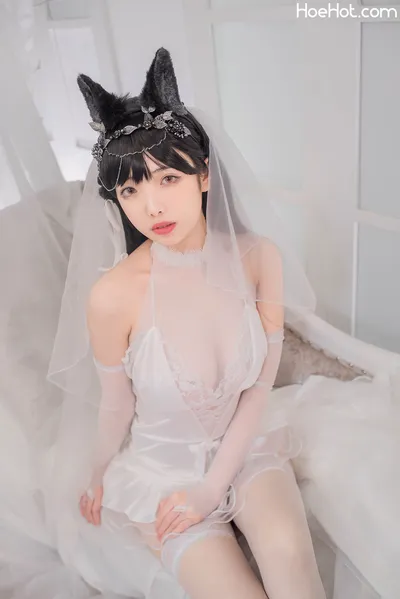 雯妹不讲道理 No.021 爱宕花嫁's profile image