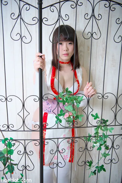 桜花爛漫 nude cosplay leaked 323486