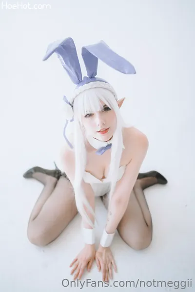 Meggii - Bunny Emilia's profile image