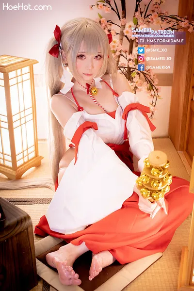 [Cosplayer] Sameki's profile image