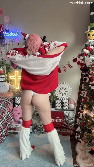 Indigo White - Zero Two Xmas's profile image