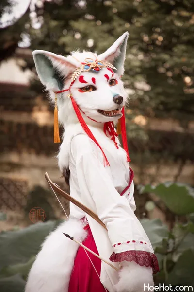 Furry Cosplay High quality's profile image